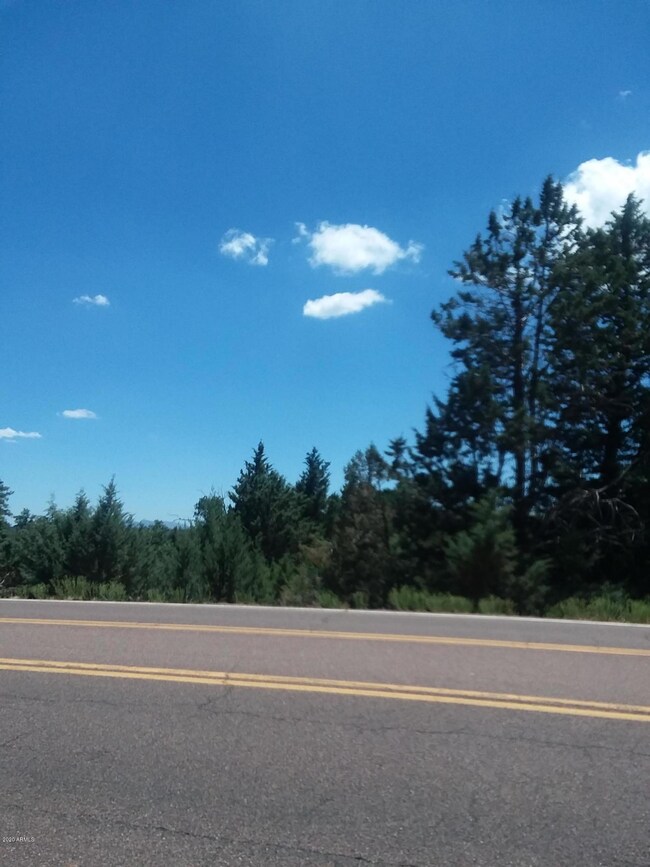 4202 N Hwg 87 Rd, Pine, AZ 85544 - photo 2