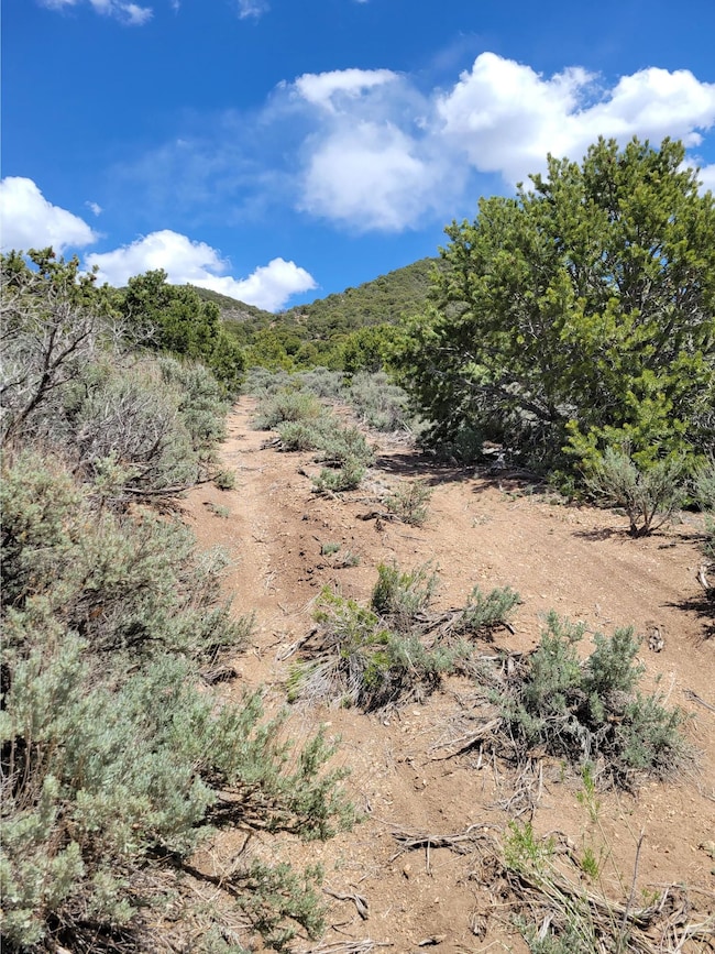 0 Michaels Rd unit 25677301, Fort Garland, CO 81133 - photo 3