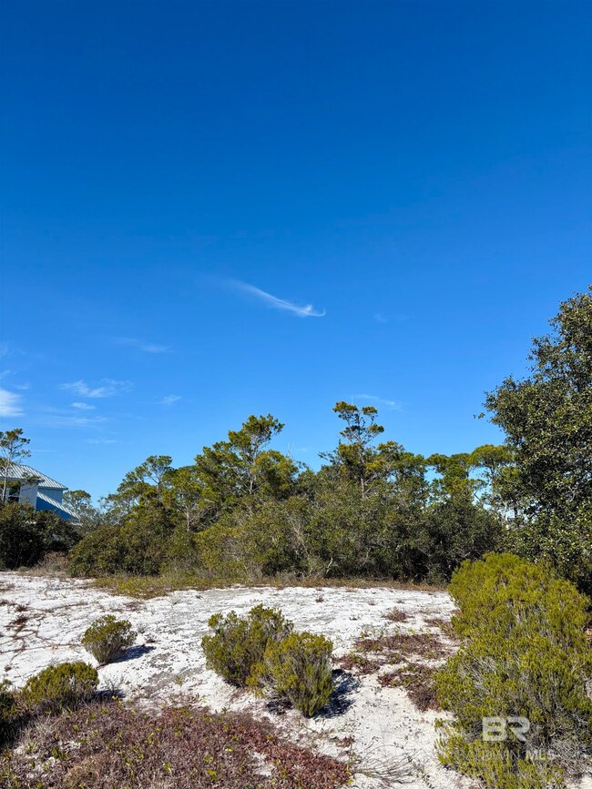 0 River Rd unit 127 372264, Orange Beach, AL 36561 - photo 3