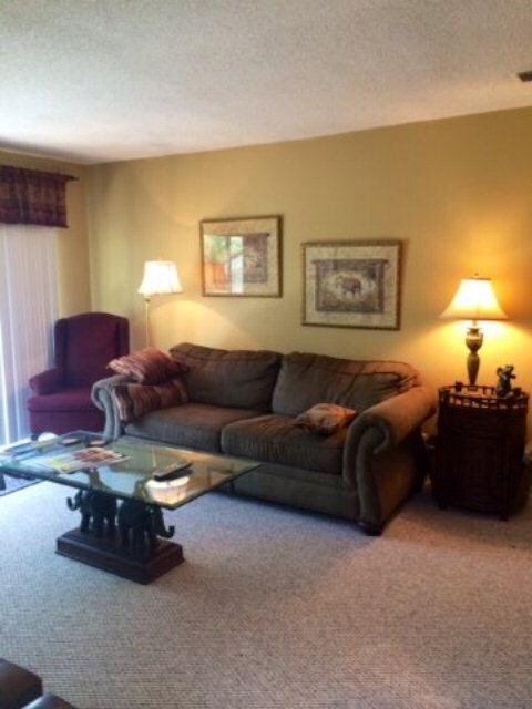 850 Mallery St unit 6-D, Saint Simons Island, GA 31522 - photo 3