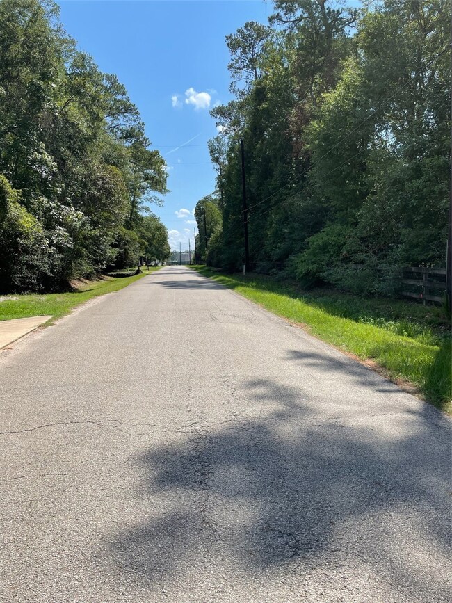 0 Seneca Trail, Magnolia, TX 77354 - photo 2