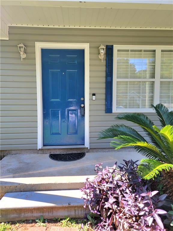 Freshly Painted Front Door