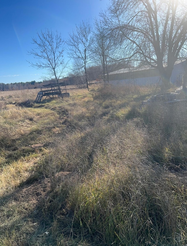 36123 Elmcrest Ave NE, North Branch, MN 55056 - photo 5