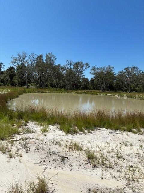 0 Lake Yale Rd unit MFRG5100985, Umatilla, FL 32784 - photo 2
