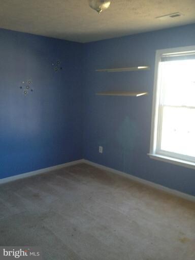 35385 Hawks Nest Ct, Locust Grove, VA 22508 - photo 3