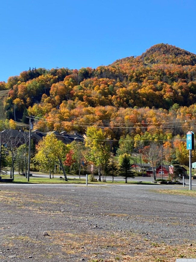 0 Bridge Mountain Drive #44 St unit 134890, Hunter, NY 12442 - photo 2