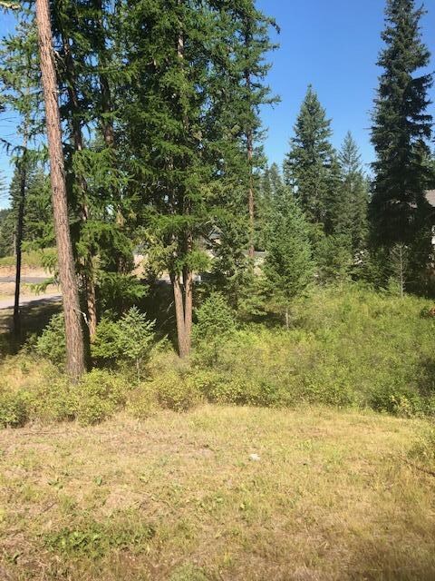 Wooded corner lot