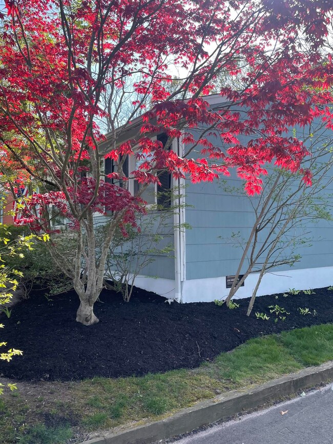 515 6th St, Somers Point, NJ 08244 - photo 4