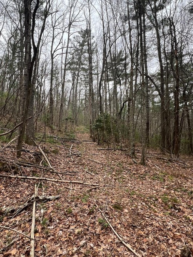 Tract 14 Eagles View, Highlands, NC 28741 - photo 6