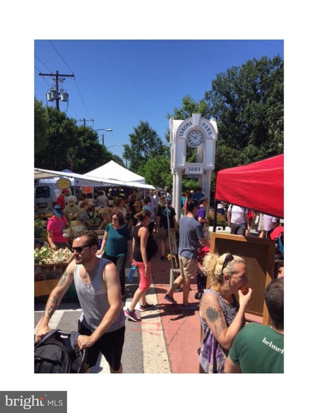 343 Cedar St NW unit 120, Washington, DC 20012 - photo 3