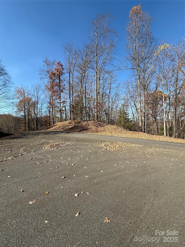 V/L Lot 72 & 170 Black Lark Dr, Marion, NC 28752 - photo 3