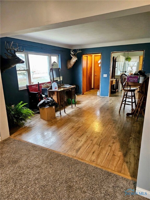 14111 Freyman Rd, Cygnet, OH 43413 - photo 5