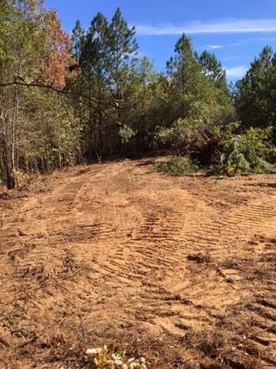 336 Gumm Cemetery Rd NE, Milledgeville, GA 31061 - photo 5