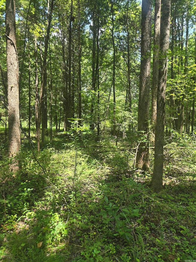 1084 Pickens Chapel Rd, Letona, AR 72143 - photo 5