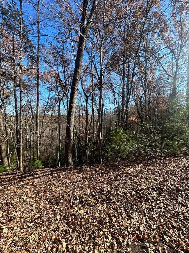 445 Apache Ct, Ellijay, GA 30540 - photo 6