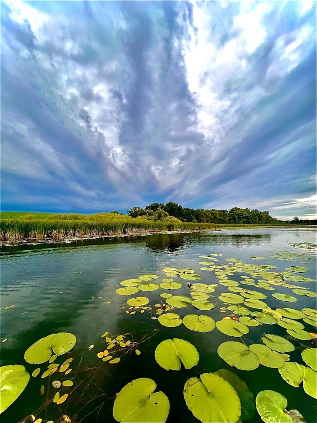 3930 Sunny Brook Dr NW, Alexandria, MN 56308 - photo 2