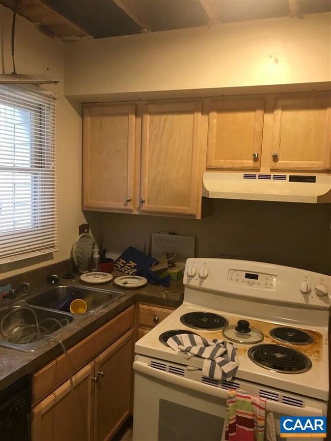 1305 Wertland St unit B2, Charlottesville, VA 22903 - photo 4