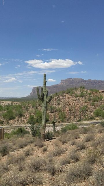 North Views