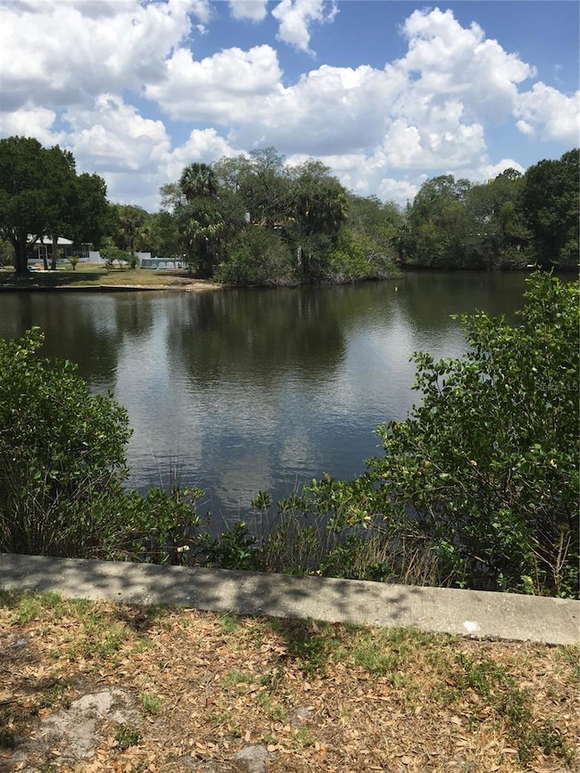 9119 Tudor Dr unit E102, Tampa, FL 33615 - photo 2