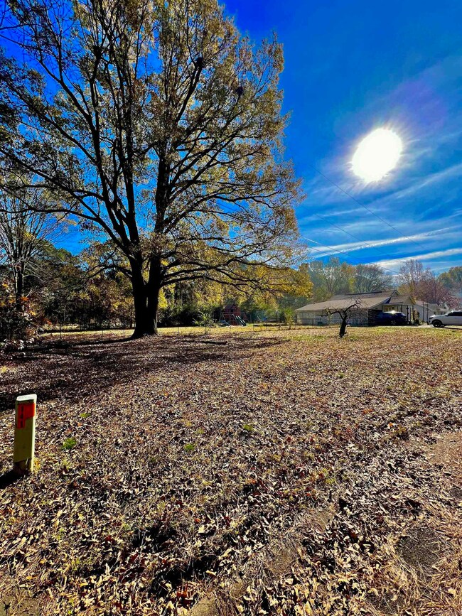 1512 Pratt Cir, Jonesboro, AR 72401 - photo 3