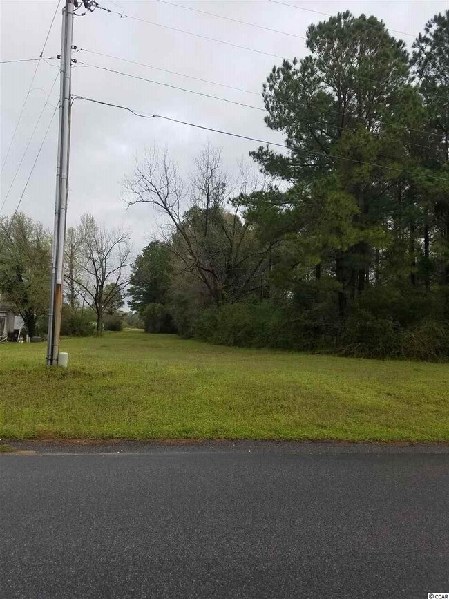 Turtle Creek Drive View