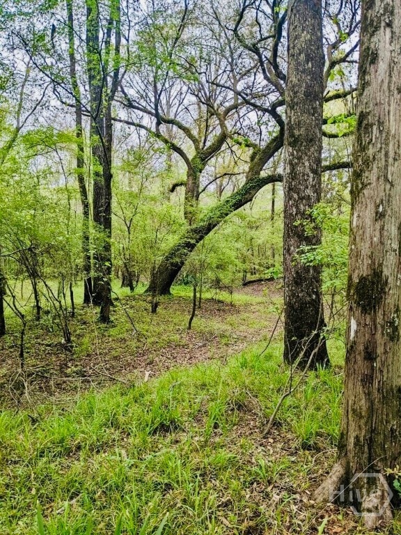 00 Charles Spikes Rd, Reidsville, GA 30436 - photo 2