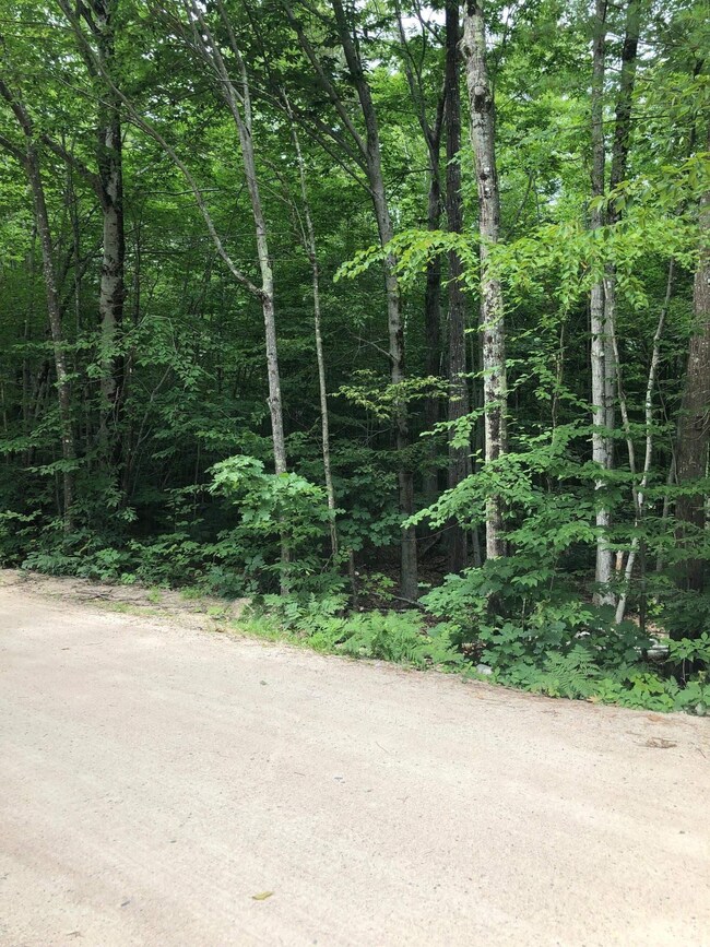 0 Gary & Spruce Rd, Middleton, NH 03887 - photo 2
