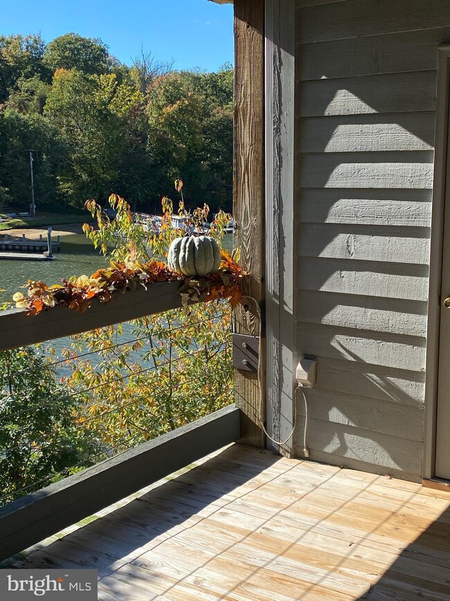 13 Spa Creek Landing unit 13A2, Annapolis, MD 21403 - photo 4