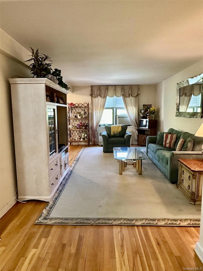 11 Wooleys Ln E unit 3A, Great Neck, NY 11021 - photo 7