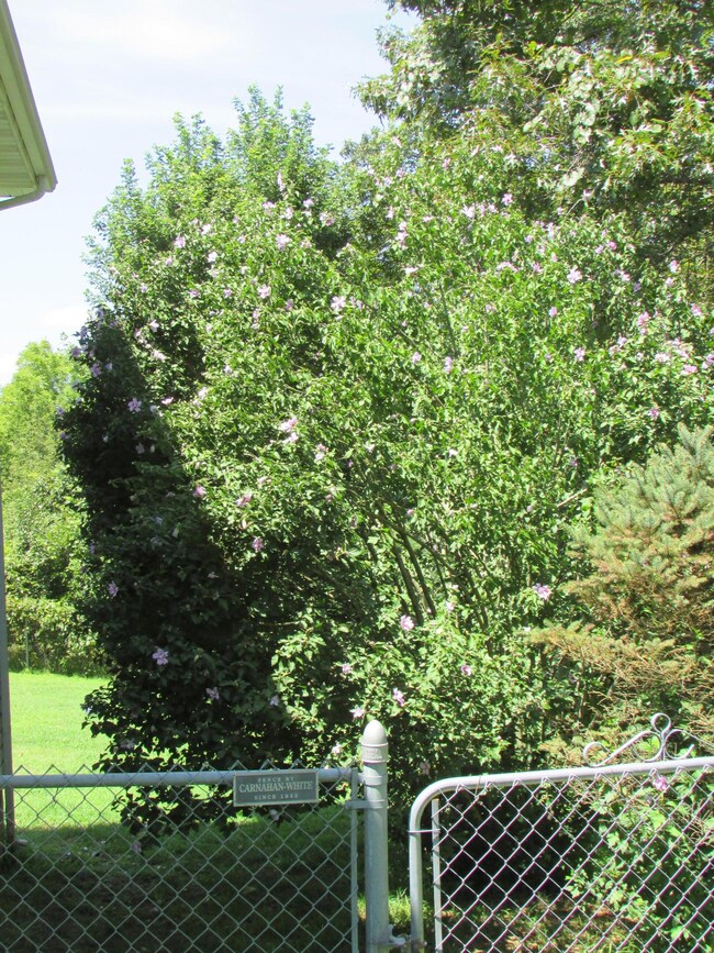 181 Windancer Rd, Ozark, MO 65721 - photo 6