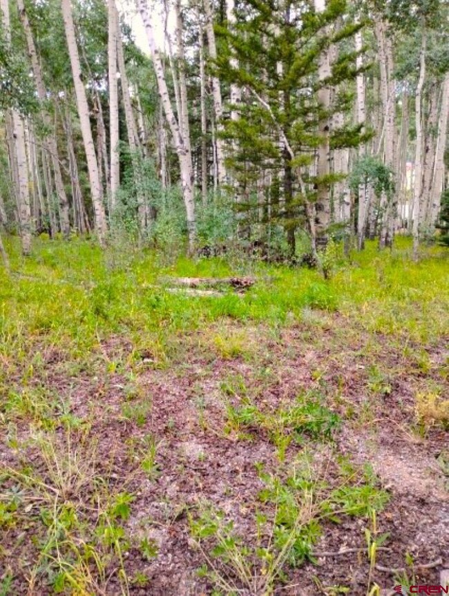 770 Ponderosa Way, Cimarron, CO 81220 - photo 7