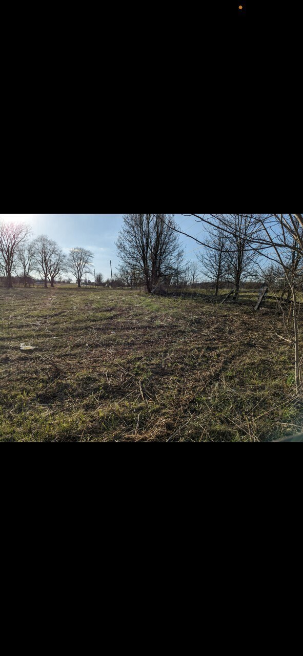 17444 Little Eagle Creek Ave, Westfield, IN 46074 - photo 7