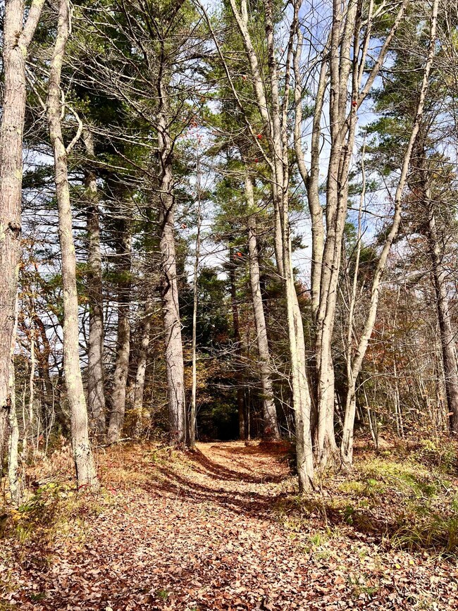 6 Ridlon Rd, Berwick, ME 03901 - photo 2