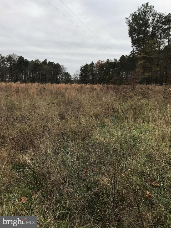 6120 Mt Airy Dr, Ruther Glen, VA 22546 - photo 5