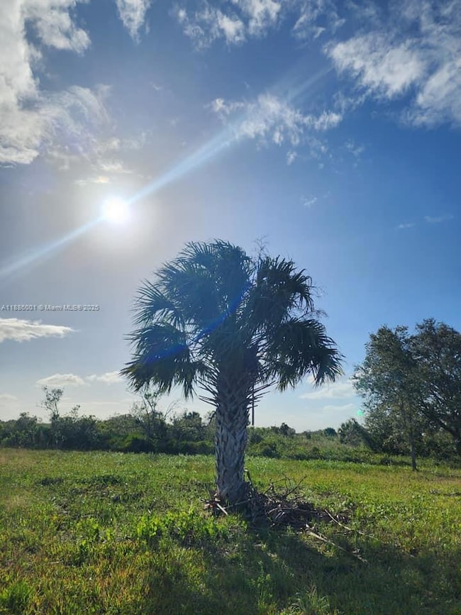 18717 NW 258 St, Okeechobee, FL 34972 - photo 3