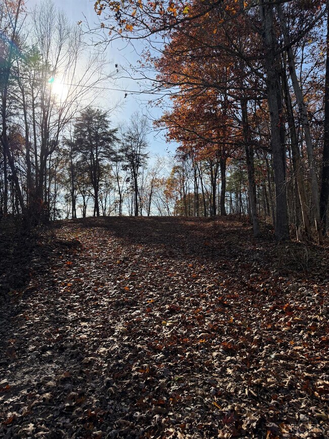 0 Ohio 775, Willow Wood, OH 45696 - photo 3