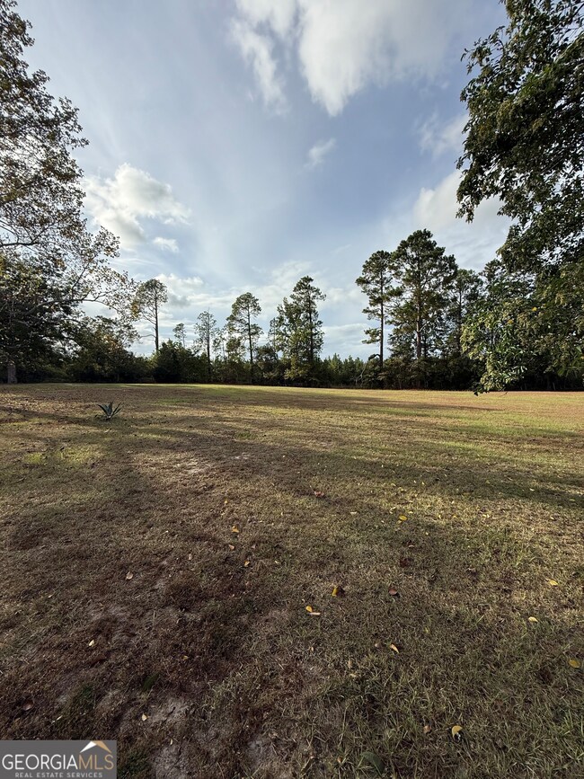 2010 Page Rd, Harrison, GA 31035 - photo 6