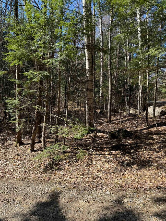 0 Banjo Dr unit Lot 17 4992445, Thornton, NH 03285 - photo 7