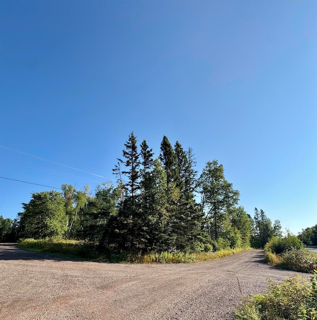 5361 W Highway 61 unit & XXX Railroad Dr, Lutsen, MN 55612 - photo 6