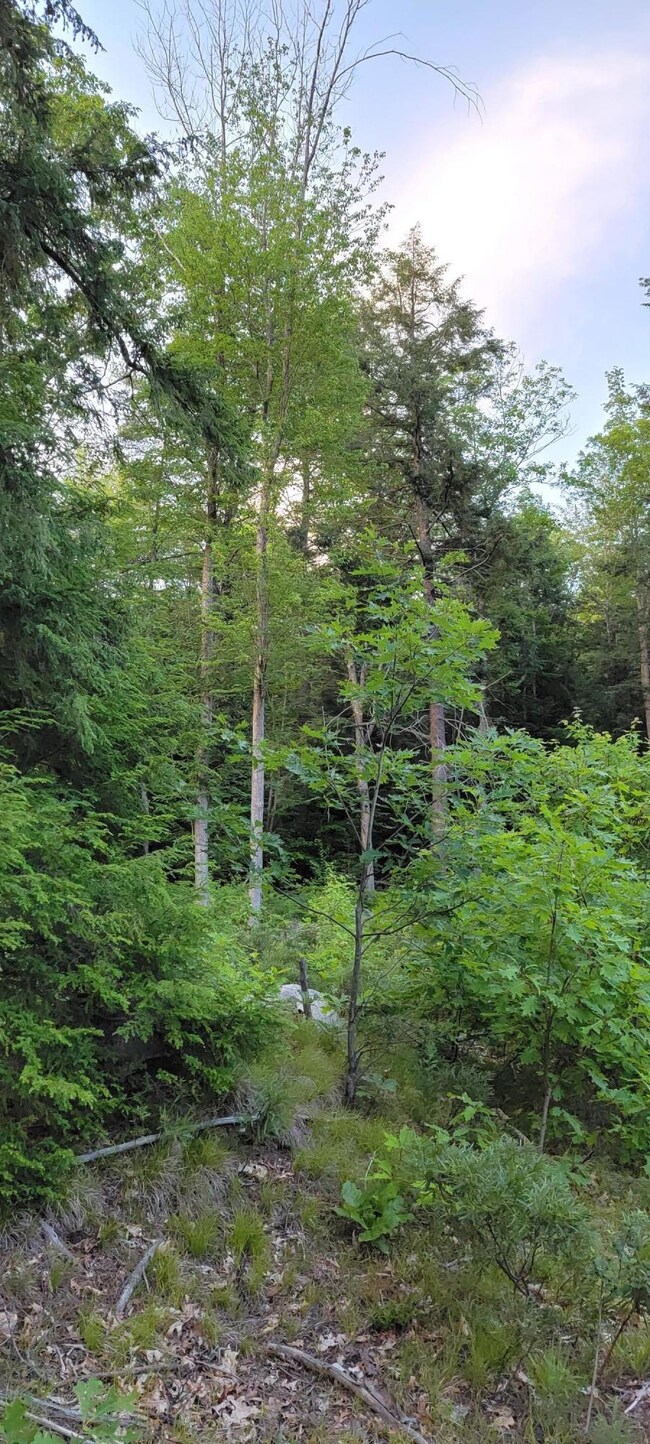 00 Off Earls Rd, South Berwick, ME 03908 - photo 2