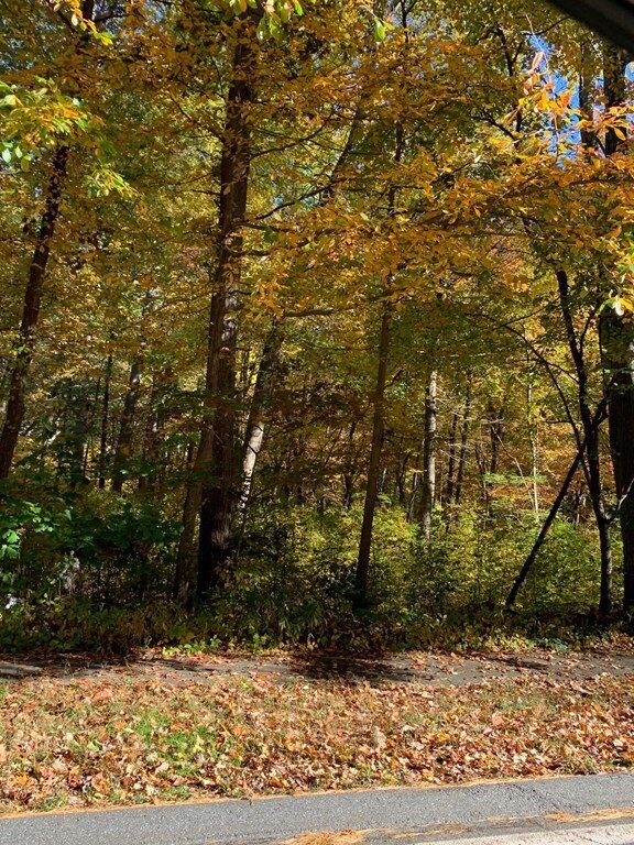 67 Forest St, Wilmington, MA 01887 - photo 2