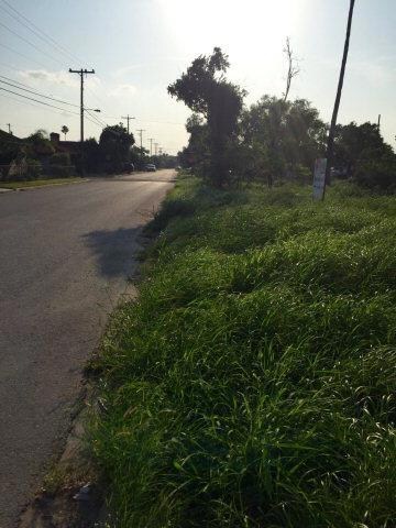 703 Fordyce Ave, Donna, TX 78537 - photo 3