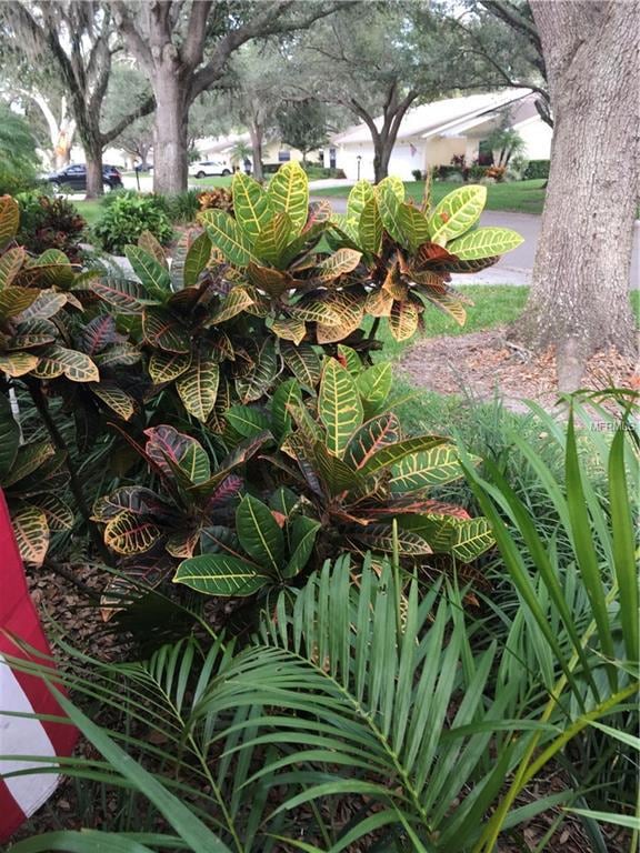 3944 Oakhurst Blvd unit 3113, Sarasota, FL 34233 - photo 4