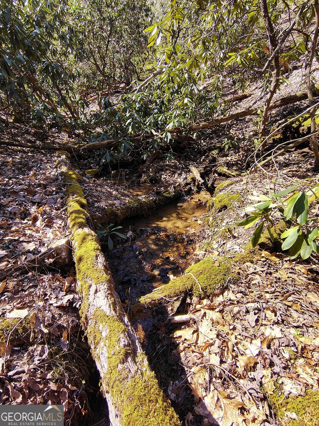 0 Ivy Ridge Way unit LOT 50 10487398, Clarkesville, GA 30523 - photo 7