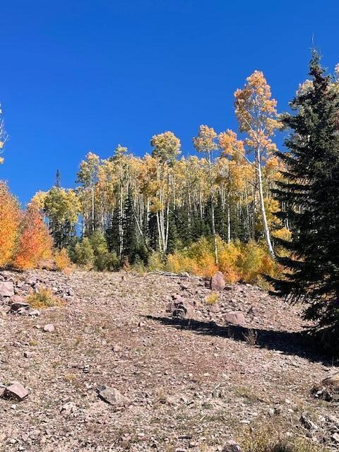 1015 Autumn Dr, Brian Head, UT 84719 - photo 5