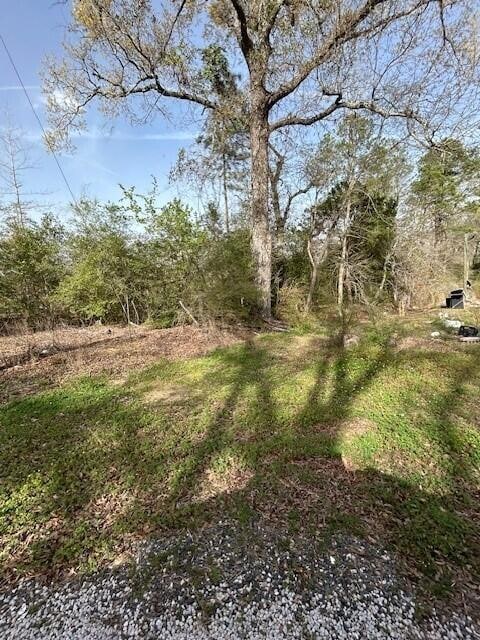 0 Baggett Rd, Deridder, LA 70634 - photo 2