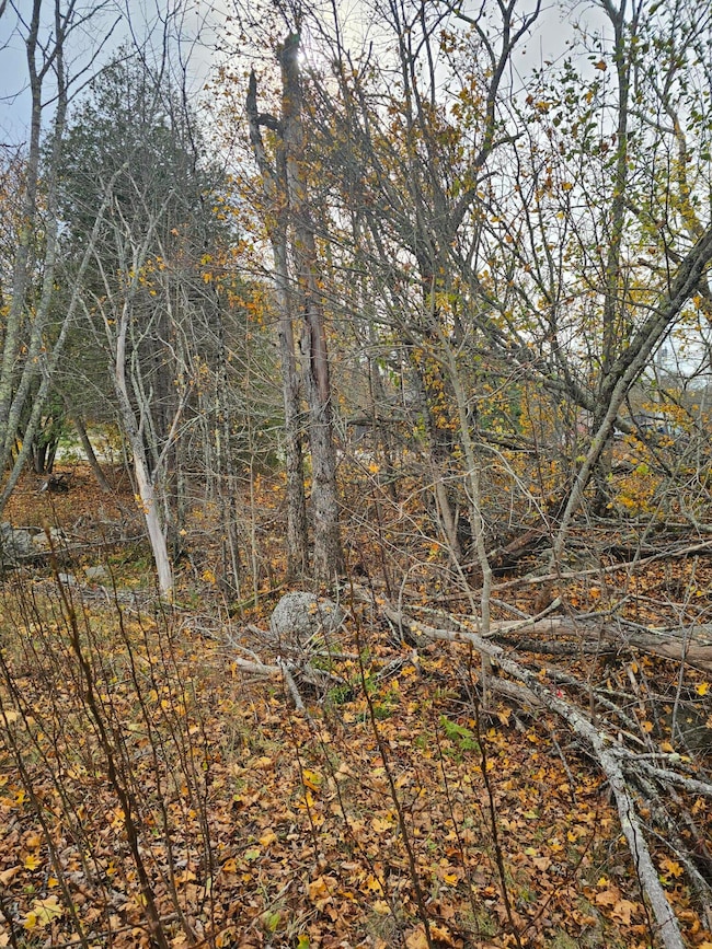 109 Main St, Franklin, ME 04634 - photo 7