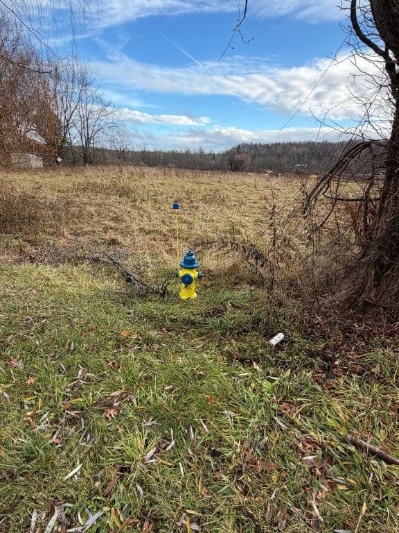 0 Hall Center Rd unit R1652033, Marion, NY 14505 - photo 2