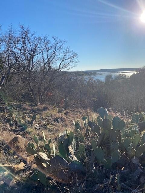 TBD Rolling Hills Rd, Brownwood, TX 76801 - photo 2