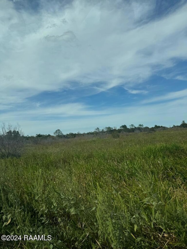 0 S Talens Landing Rd unit 2500005685, Gueydan, LA 70542 - photo 4